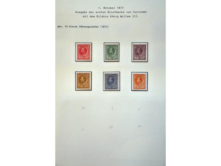 gespecialiseerde collectie 1873-1900 w.b. tandingen, proeven, variëteiten en veel poststukken keurig opgezet in ringband