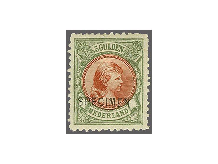 5 gulden bronsgroen en roodbruin met opdruk Specimen, vrijwel pracht ex. (miniem dun plekje) met certificaat Vleeming 2017. V
