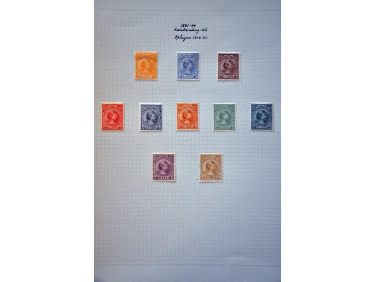 collectie ongebruikt op tandingen en kleuren gespecialiseerd met veel betere ex. w.b. nrs. 43 (3x), 44 (2x), 47 (3x) en 48, s