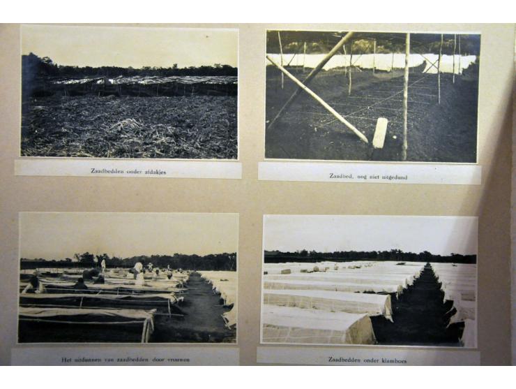ca. 100 foto's tabaksindustrie in album en boekje kaarten modern