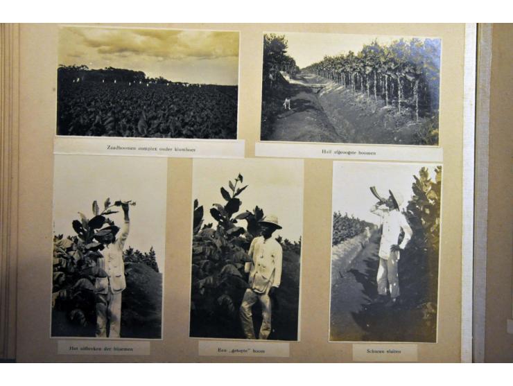 ca. 100 foto's tabaksindustrie in album en boekje kaarten modern