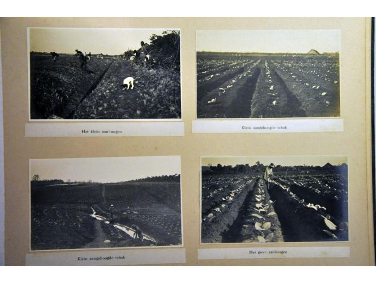 ca. 100 foto's tabaksindustrie in album en boekje kaarten modern