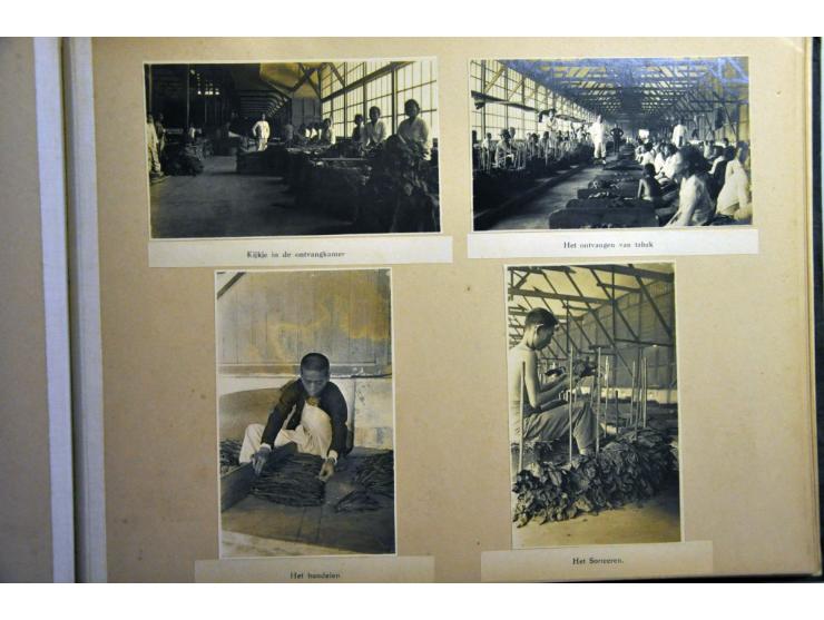 ca. 100 foto's tabaksindustrie in album en boekje kaarten modern