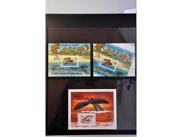 motief dieren zeer uitgebreide collectie meest ** vanaf ca. 1970 w.b. betere ex., series, variëteiten, kopstaande watermerken