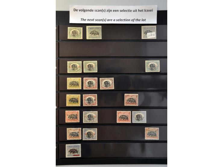 motief dieren, mooie collectie meest ** met proeven, ongetand, variëteiten etc. in ringband