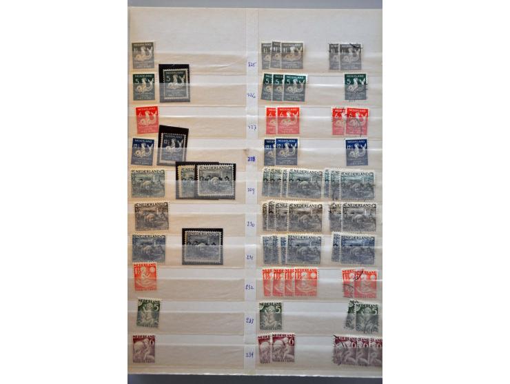 Image for Auctions 237-238 - 1516