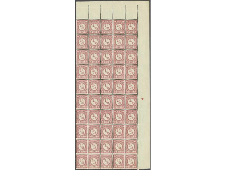 ½ cent helderrood tanding 12½ grote gaten in veldeel van 50 ex. w.b. positie 36 met variëteit dikke L in Nederland met certif