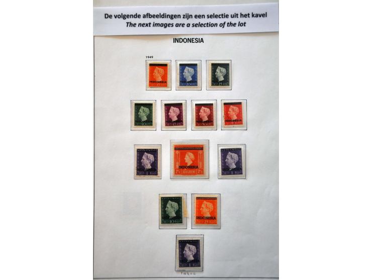 gespecialiseerde collectie tot 2015 meest ** met vele betere ex. variëteiten etc. in 5 Davo albums