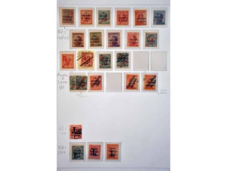 noodporten Trentino-Alto Adige 1919 (segnatasse provisori), collectie op albumbladen. Zeer hoge cataloguswaarde doch geen gar