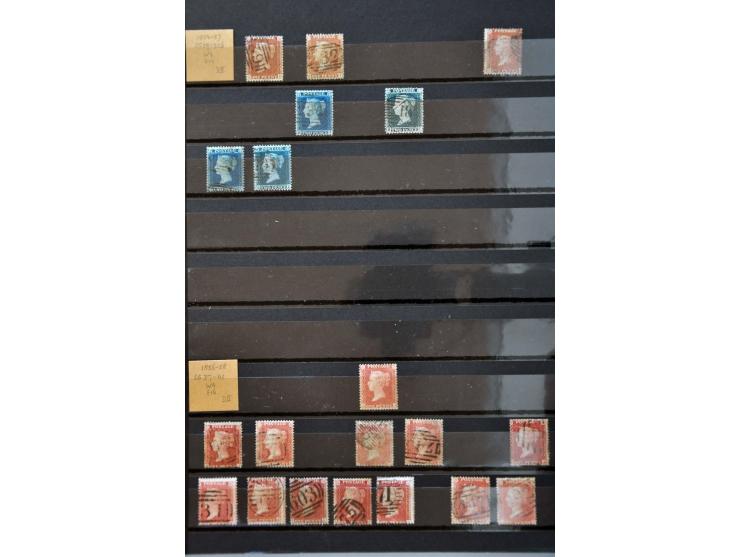 Bild für Auctions 237-238 - 2893