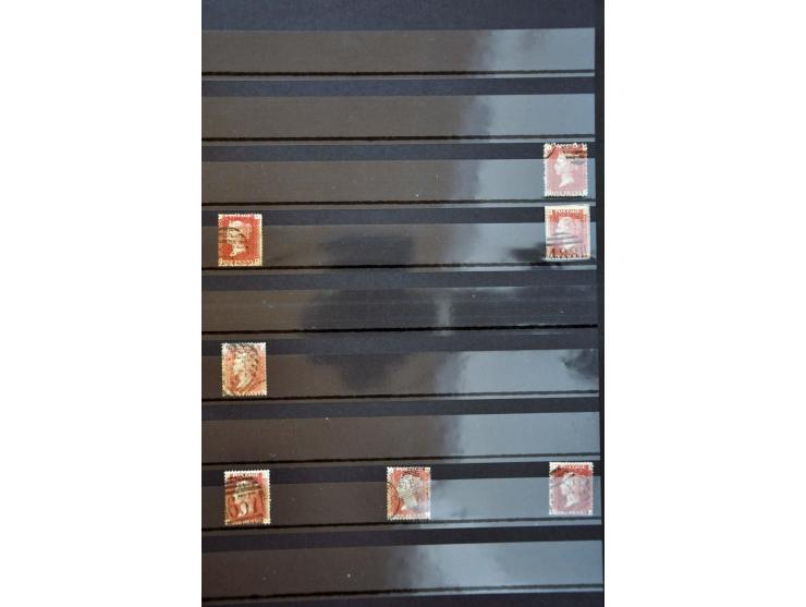 Bild für Auctions 237-238 - 2893