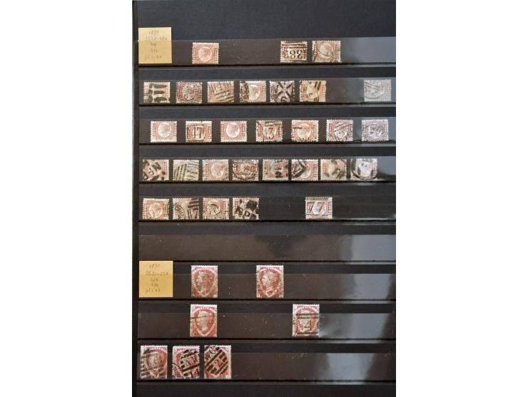 Bild für Auctions 237-238 - 2893
