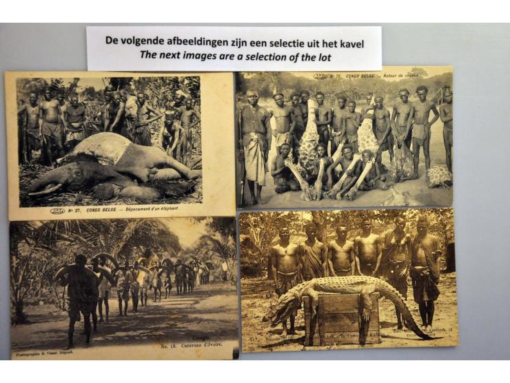 84 ex. oude en zeer oude met beter