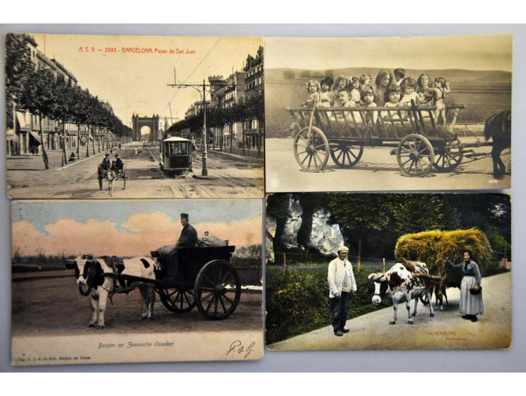 transport 100 ex. oude en zeer oude w.b. veel hondenkarren etc.