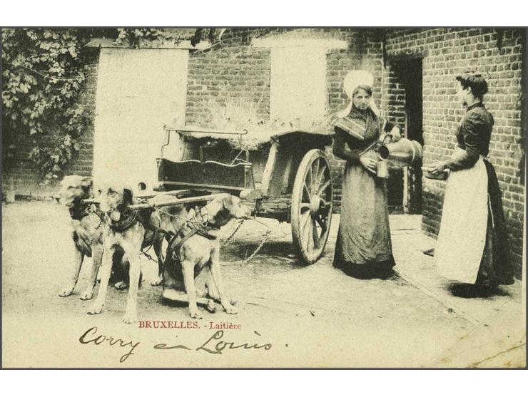 beroepen, types, folklore 200 ex. oude en zeer oude in album