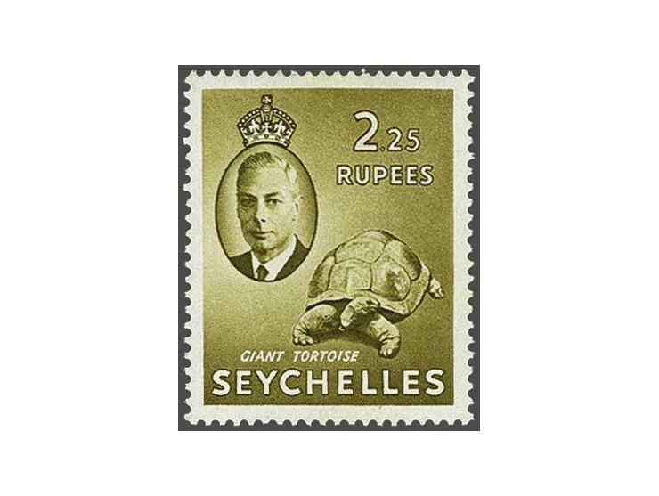 Giant tortoise 2r.25 brown-olive with the error in watermark St.Edward's Crown (W9b), a very fine unused ex, cat.v. £ 1600, a