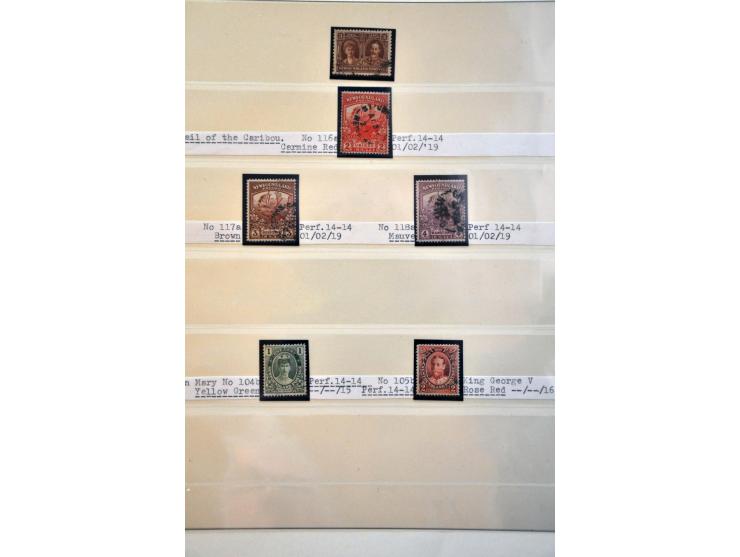 Image for Auctions 239-240 - 3682