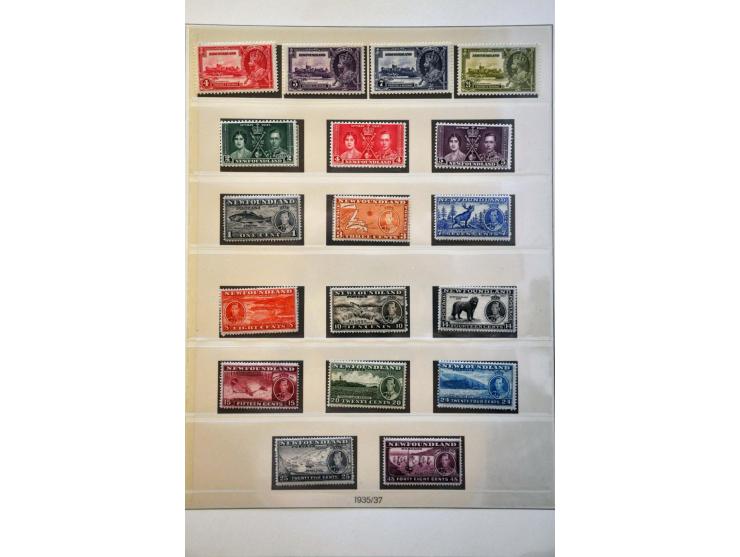 Image for Auctions 239-240 - 3682