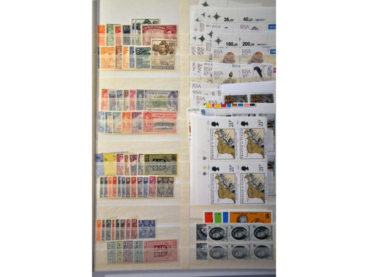 5 cent donkerblauw plaat III pos. 17, luxe ex. met delen van 4 buurzegels!