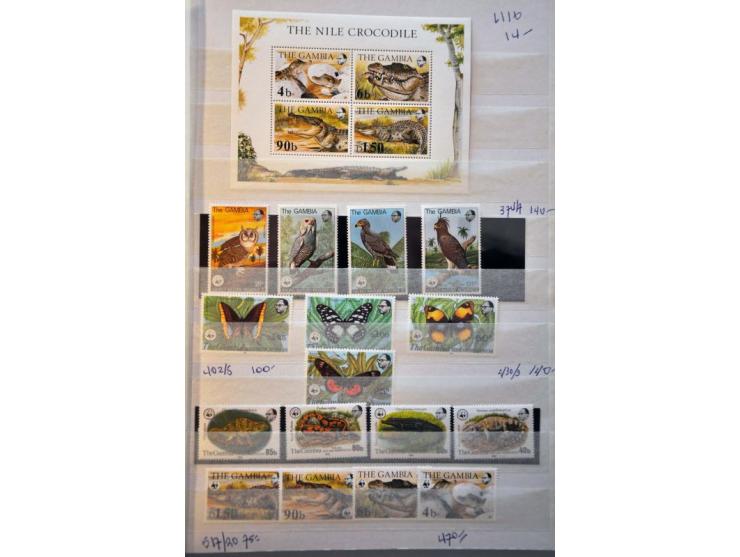 5 cent blauw plaat IV pos. 55 met hoekvelrand, pracht ex. Herkomst: collectie Reed (1995)