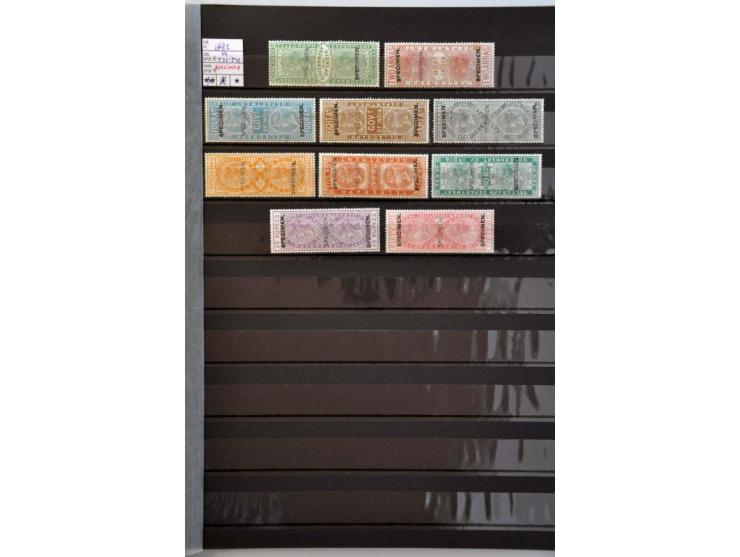 5 cent blauw plaat IV pos. 96 met hoekvelrand en watermerklijn, pracht ex.