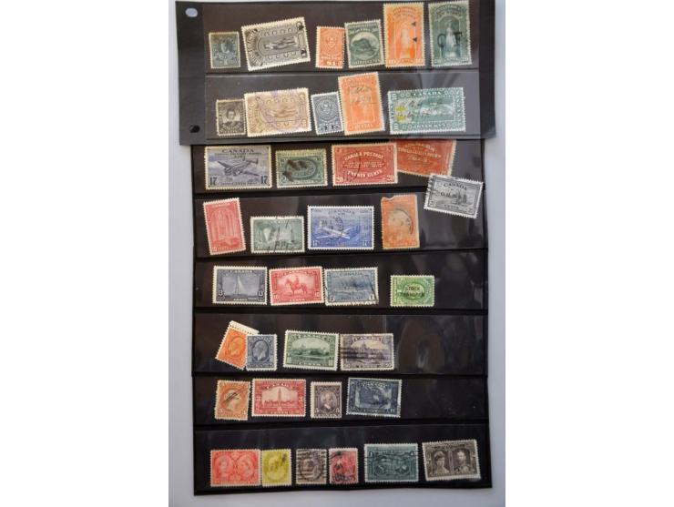Beatrix 1 staalblauw en paars met variëteit sterk verschoven perforatie (4x) op fragment, pracht ex.