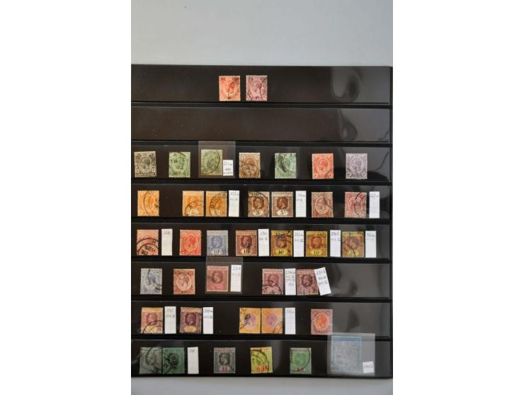 Afbeelding voor Auctions 242-243 - 782