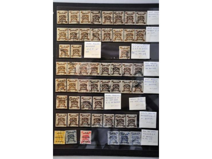 British Mandate specialised collection including varieties, errors and counterfoils on stockpages