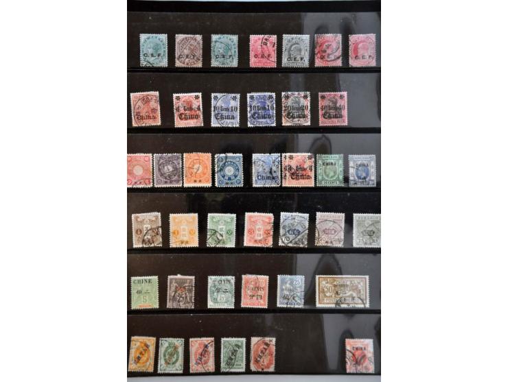 Bild für Auction 244 - 488