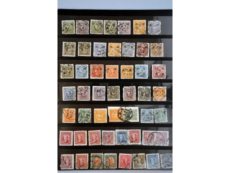 Bild für Auction 244 - 488