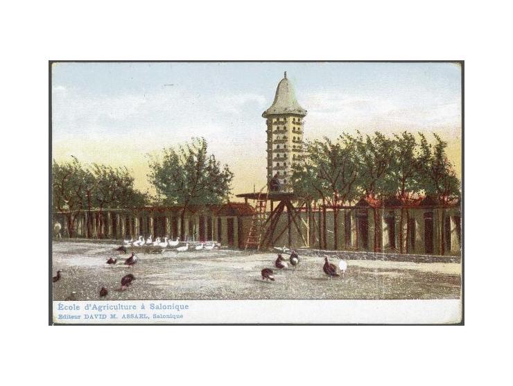 Franz Joseph 10 centimes red on picture postcard from Saloniki 11-1-1913 to Amsterdam (Netherlands) with special cachet Ambul