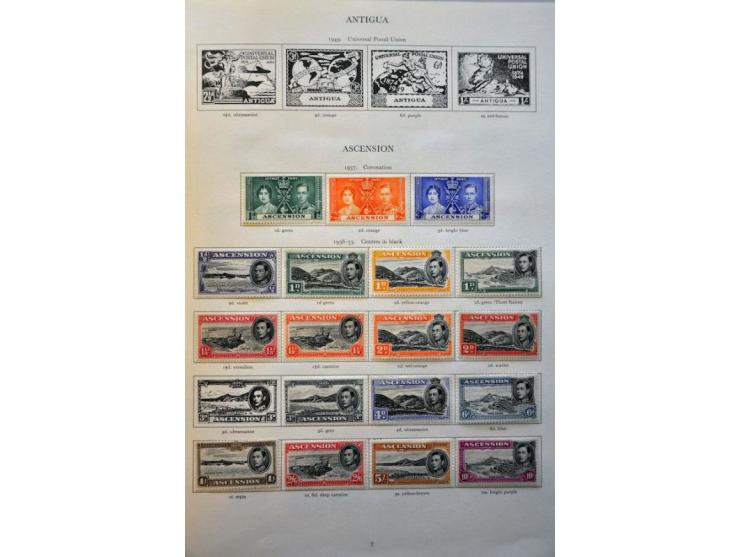 Image for Auction 244 - 705