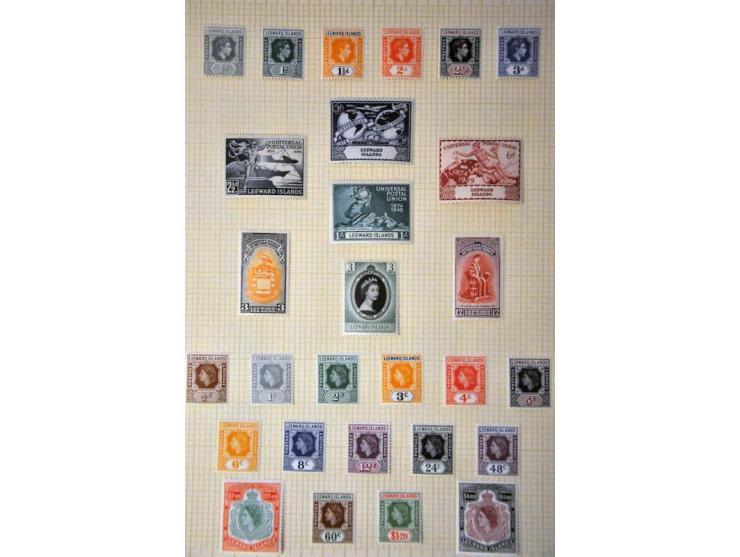 Bild für Auction 244 - 707