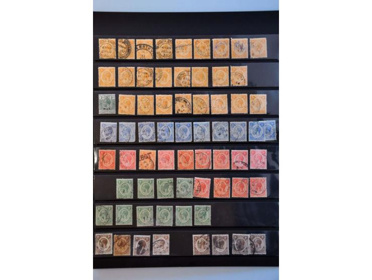 used and */** including classics in ring binder
