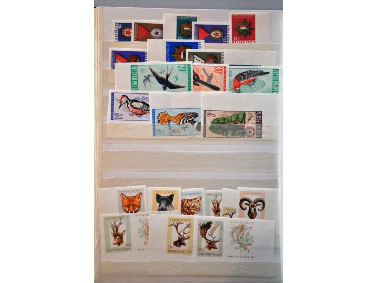 Bild für Auction 244 - 809