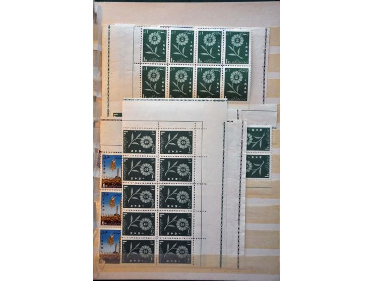 Image for Auction 244 - 816