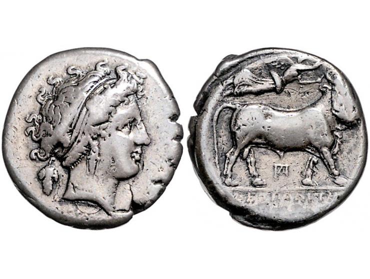 Griekse munten Campania, Neapolis (Naples), Nomos Stater (Didrachm) ca. 350-323 BC, AR 20 mm, 7.12 g. - Obv: Head of nymph ri