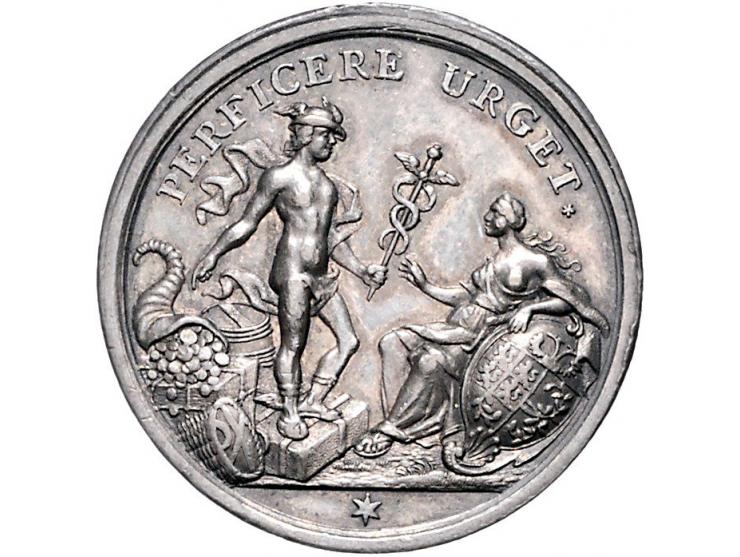 Historiepenningen 's-Hertogenbosch - Stadhuispenning zilver 1741 Snoeck 58 ZF