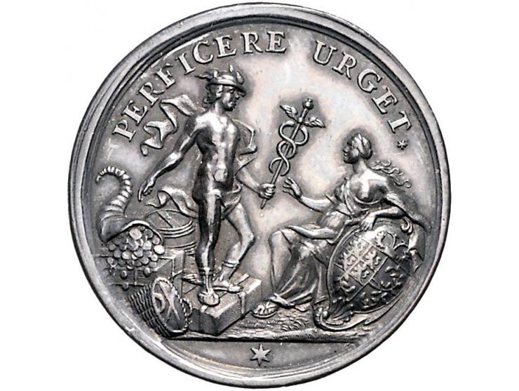 Historiepenningen 's-Hertogenbosch - Stadhuispenning zilver 1741 Snoeck 58 ZF-