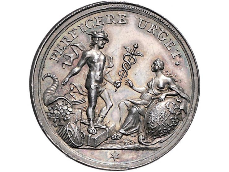 Historiepenningen 's-Hertogenbosch - Stadhuispenning zilver 1741 Snoeck 59 bijna PR