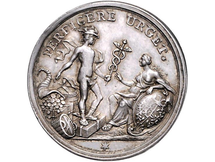 Historiepenningen 's-Hertogenbosch - Stadhuispenning zilver 1741 Snoeck 59, 2e exemplaar ZF