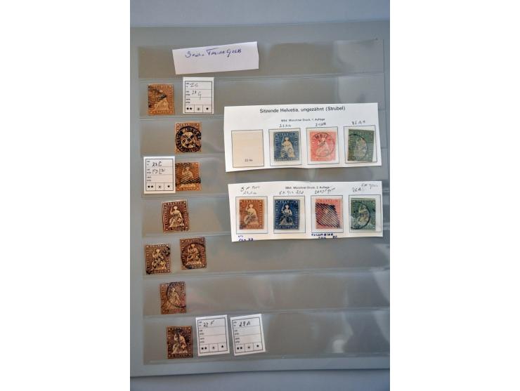 about 135 Strubli between 2 - 40 rappen including various printings, cancellations etc. in ring binder