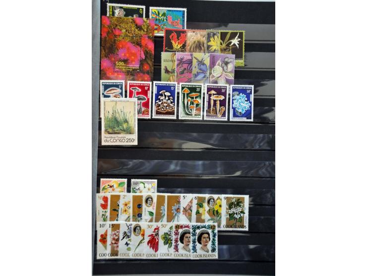 Bild für Auction 250-253 September 2021 - 1118