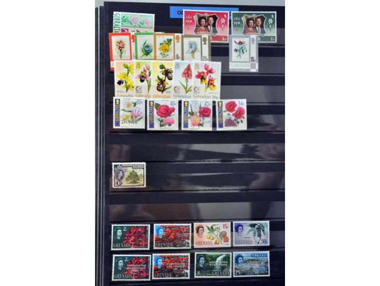 Bild für Auction 250-253 September 2021 - 1118