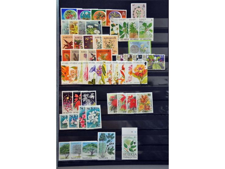 Bild für Auction 250-253 September 2021 - 1118