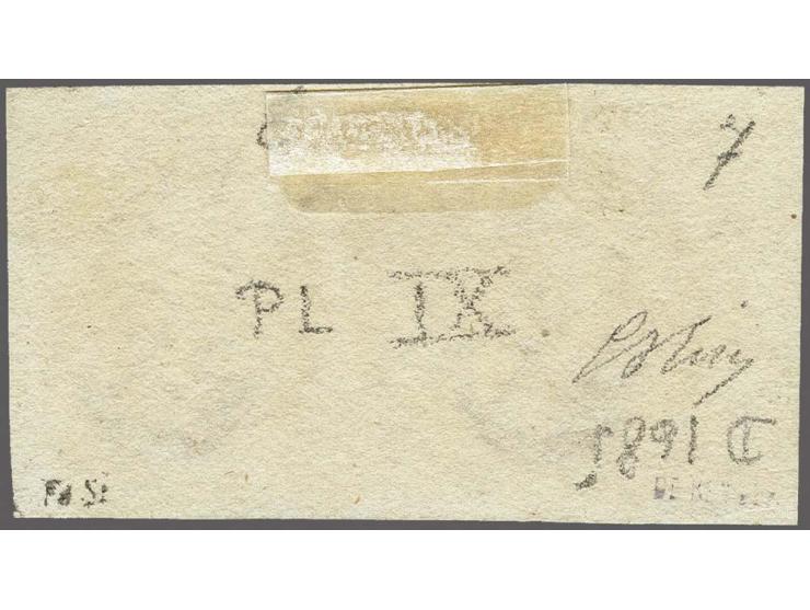 10 cent karmijnroze plaat IX pos. 6-7 in paar, pracht ex.