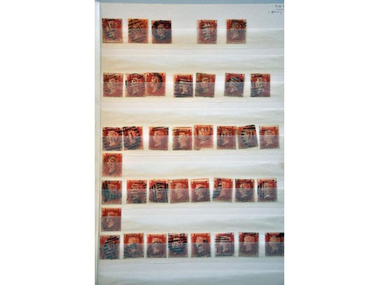 Bild für Auction 245-246 - 1076