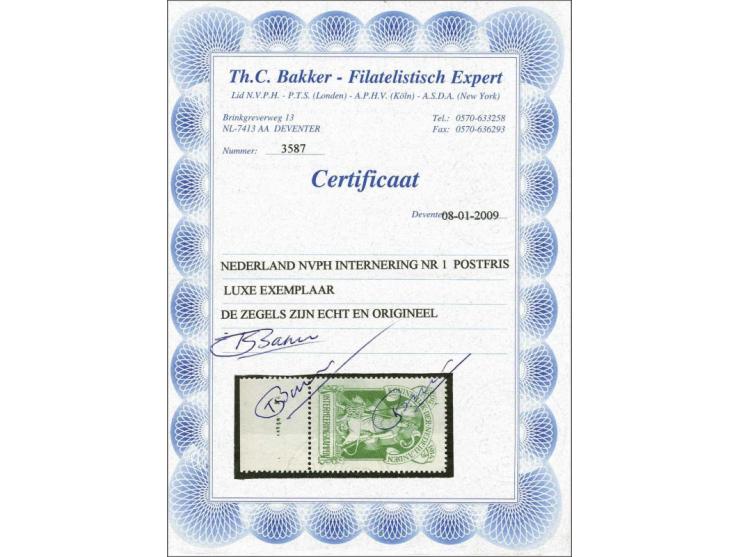 Nederlandse Maagd in groen met velrand met certificaat Bakker 2009, cat.w. 400