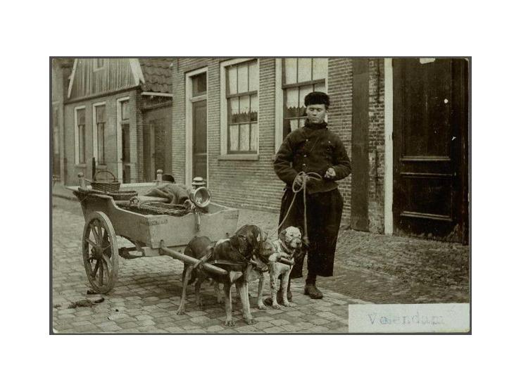 fotokaarten uitgave Siewers Volendam, Marken met veel beter in album