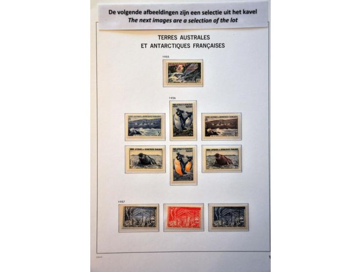 collection 1955-2018 ** virtually complete including all better ex. and sets (Albatros, Airmail etc.) in 2 Davo albums and 2 